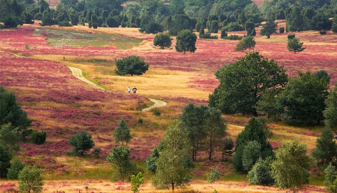 [DO NOT USE OR REMOVE] Blog images - 2025 VOL 3 - L neburg Heath