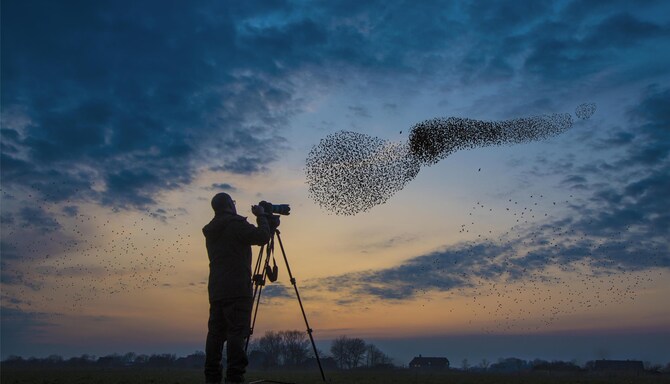 Blog images - 2025 VOL 3 - GettyImages