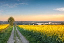 Blog images - 2025 VOL 3 - Day trips from Aarhus Discover hidden gems