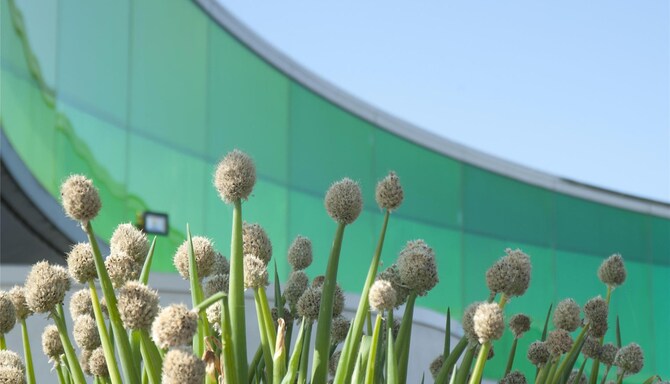 Blog images - 2025 VOL 3 - GettyImages