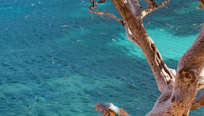 Blog images - 2025 VOL 3 - Unveiling Calanques Beaches