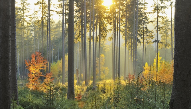 Blog images - 2025 VOL 3 - GettyImages