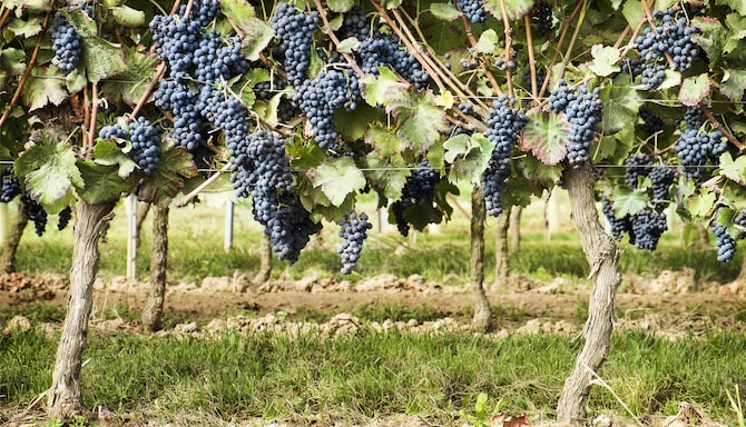 Blog images - 2025 VOL 3 - GettyImages