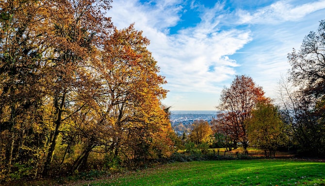 Blog images - 2025 VOL 3 - GettyImages