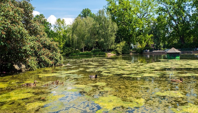 Blog images - 2025 VOL 3 - GettyImages