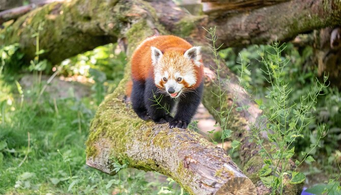 Blog images - 2025 VOL 3 - GettyImages