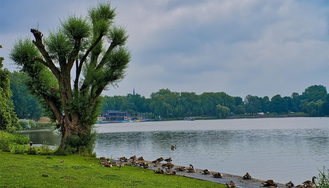 Blog images - 2025 VOL 3 - GettyImages