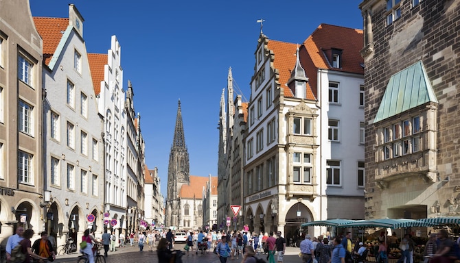 Blog images - 2025 VOL 3 - Natural History Museum