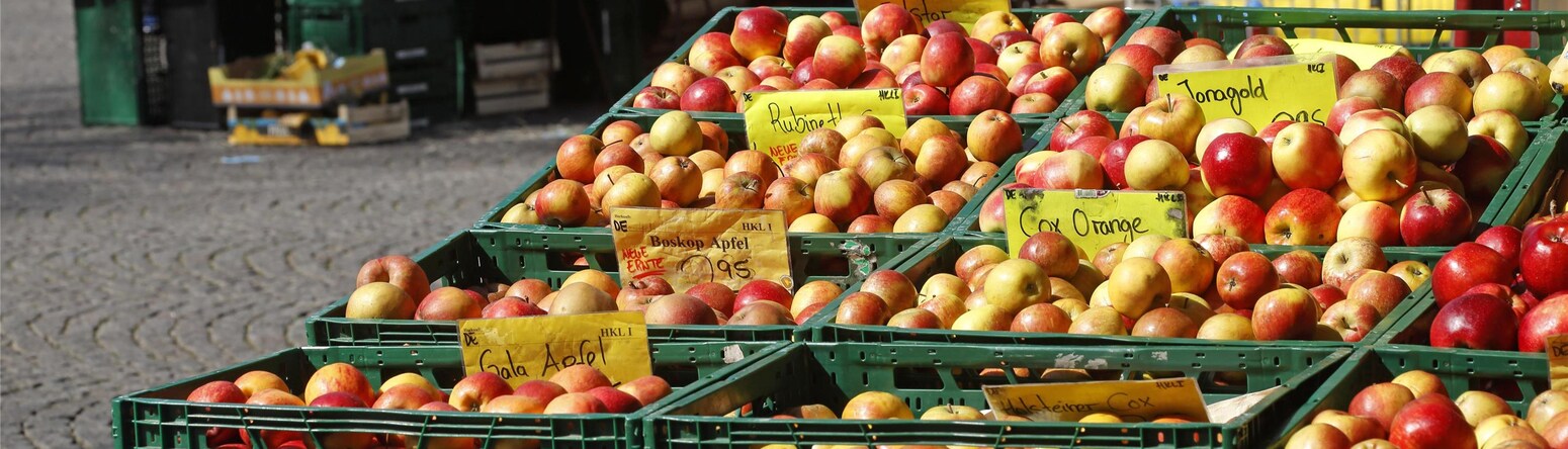 Blog images - 2025 VOL 3 - GettyImages