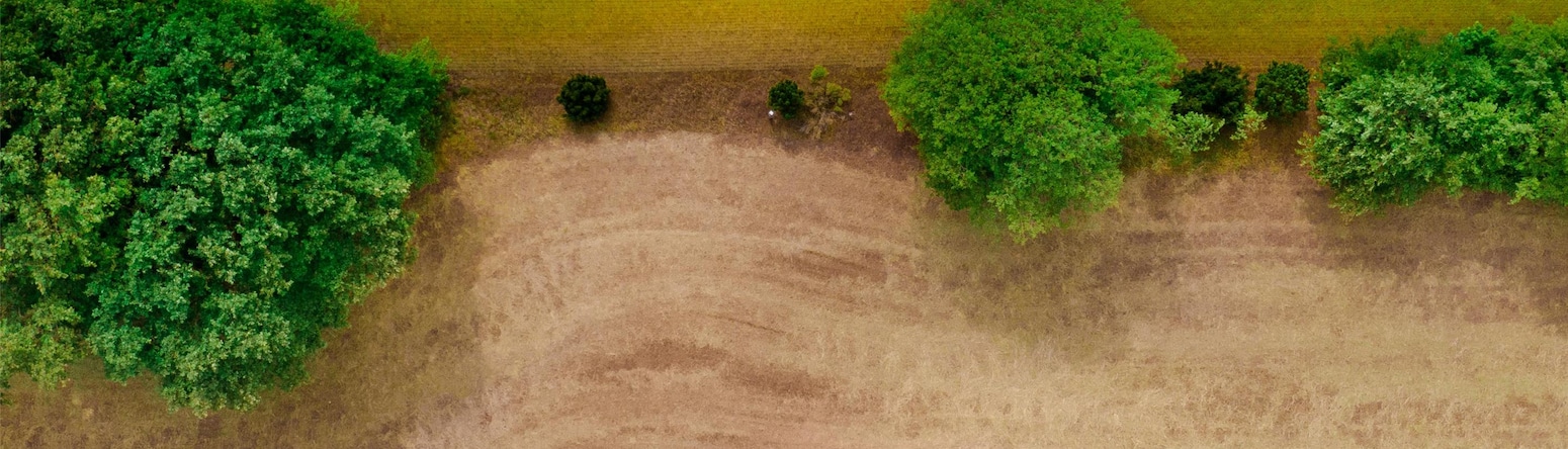 Blog images - 2025 VOL 3 - GettyImages