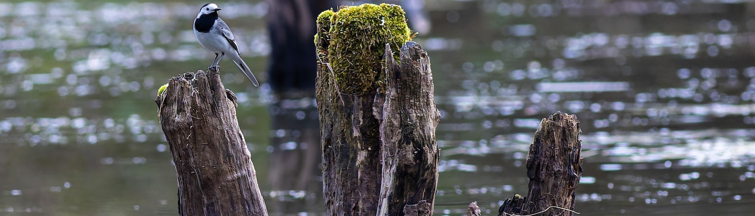 Blog images - 2025 VOL 3 - GettyImages