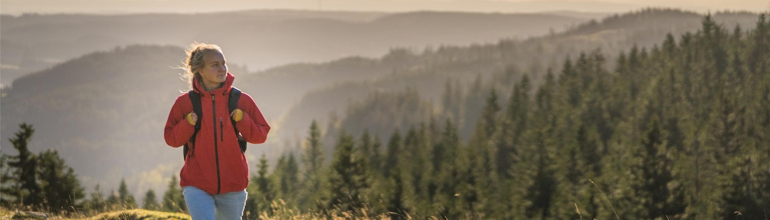 Blog images - 2025 VOL 3 - GettyImages