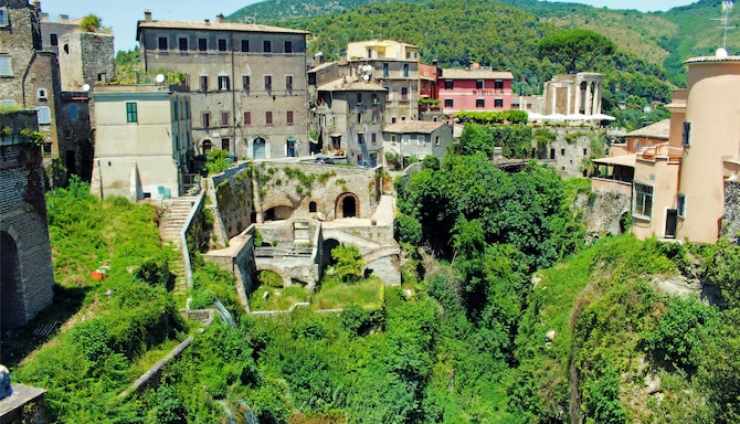 Blog images - 2025 VOL 3 - GettyImages