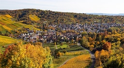 [DO NOT USE] Blog images - 2025 VOL 3 - Discover Wilhelm Zoo