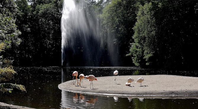 Blog images - 2025 VOL 3 - GettyImages