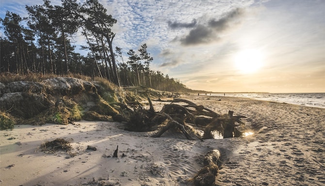 Blog images - 2025 VOL 3 - GettyImages