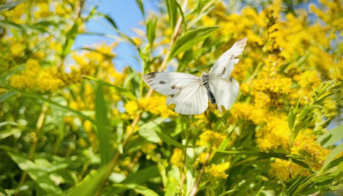 Blog images - 2025 VOL 3 - GettyImages