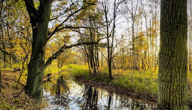 Blog images - 2025 VOL 3 - GettyImages