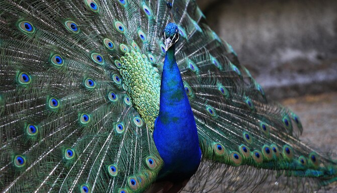 Blog images - 2025 VOL 3 - GettyImages