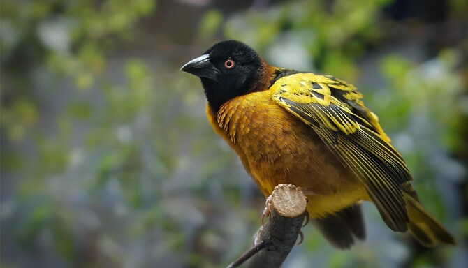 Blog images - 2025 VOL 3 - GettyImages