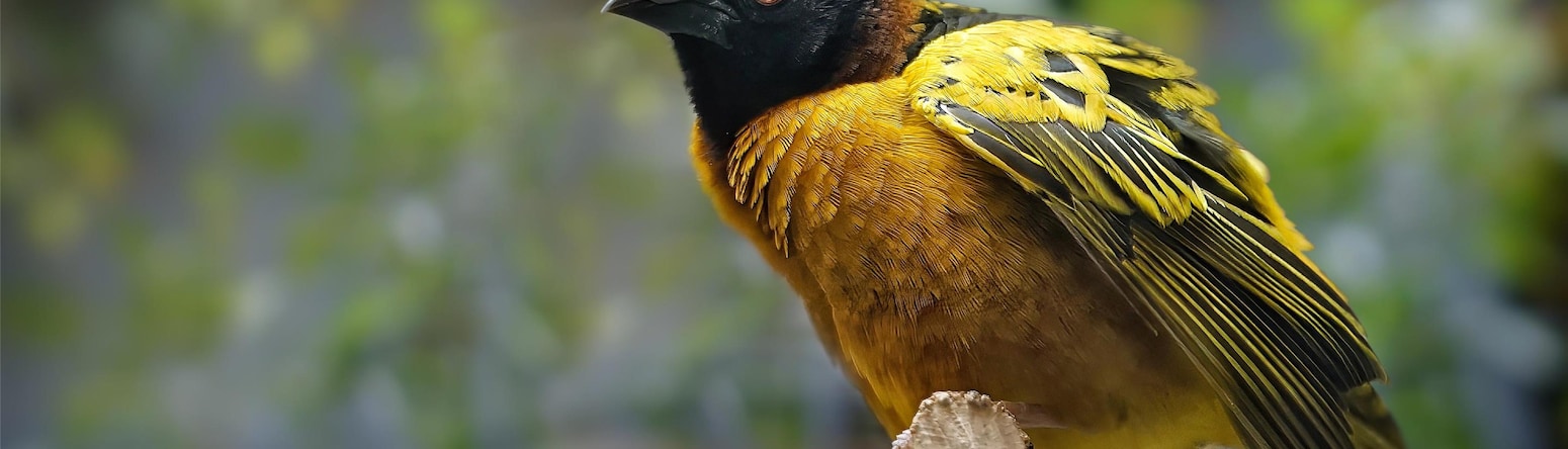 Blog images - 2025 VOL 3 - GettyImages