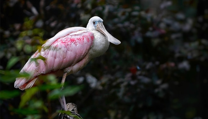 Blog images - 2025 VOL 3 - GettyImages