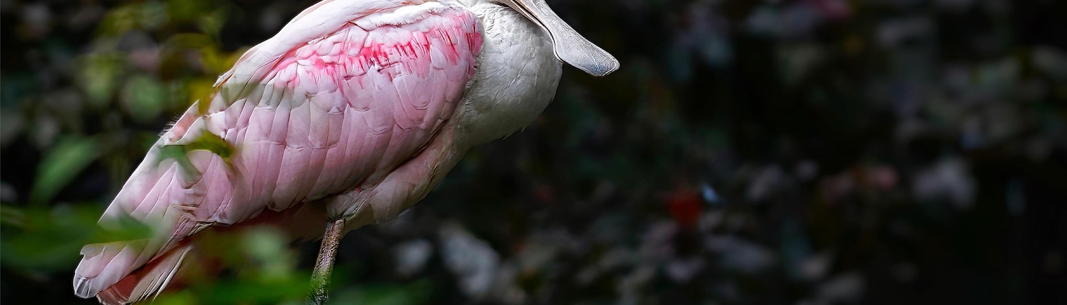 Blog images - 2025 VOL 3 - GettyImages