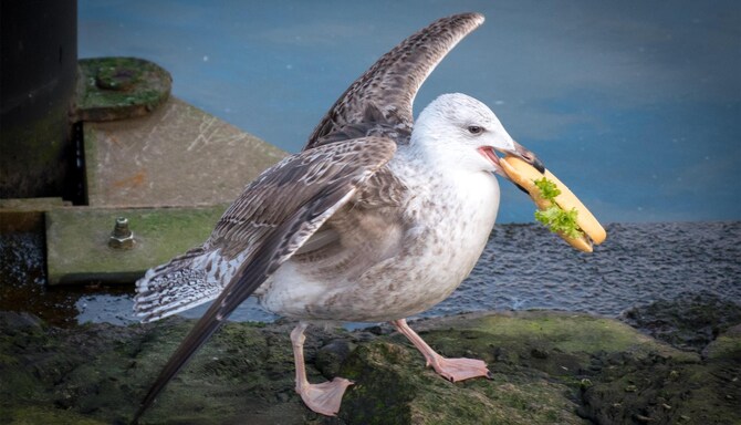 Blog images - 2025 VOL 3 - GettyImages