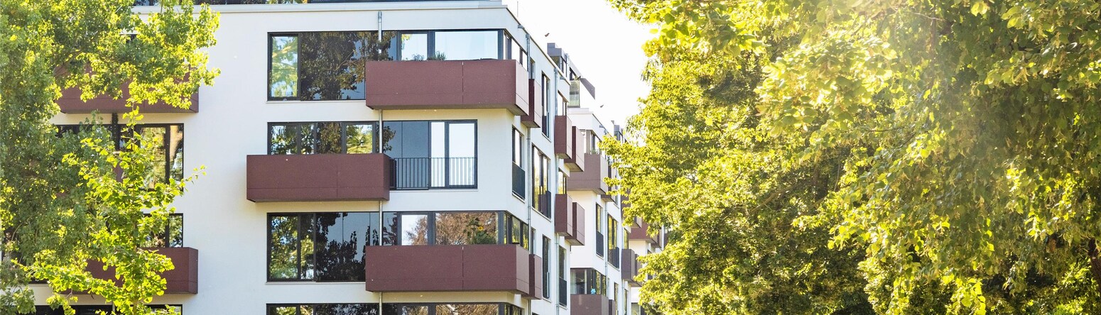 Blog images - 2025 VOL 3 - GettyImages