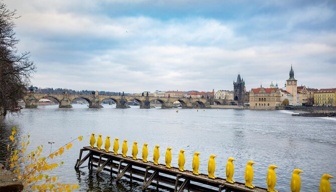 Blog images - 2025 VOL 3 - GettyImages