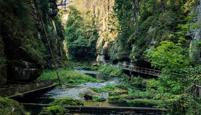 Blog images - 2025 VOL 3 - GettyImages