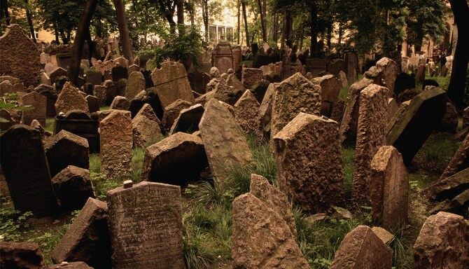 Blog images - 2025 VOL 3 - GettyImages AA