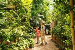 Blog images - 2025 VOL 3 - Discover the Charm of Botanical Garden in Karlsruhe