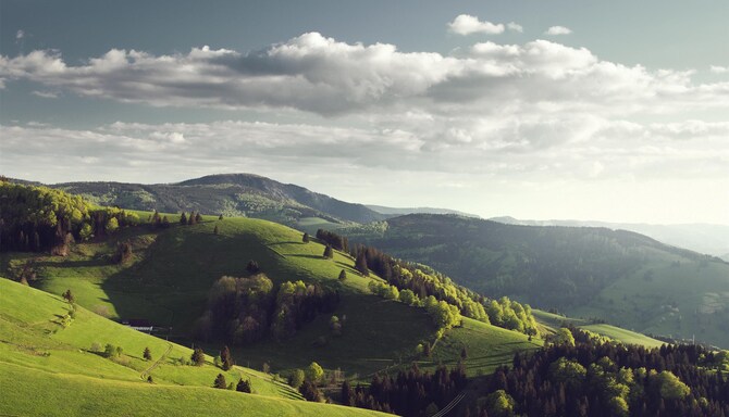 Blog images - 2025 VOL 3 - GettyImages