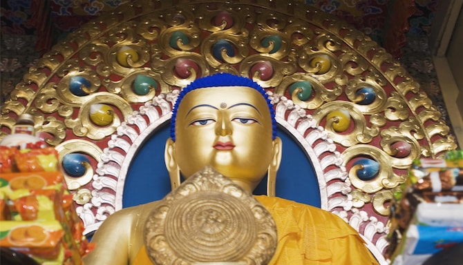 Blog images - 2025 VOL 3 - McLeodganj attractions to explore