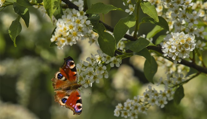 Blog images - 2025 VOL 3 - GettyImages