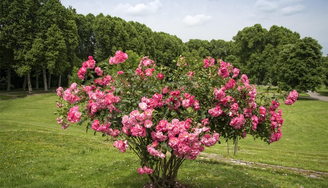 Blog images - 2025 VOL 3 - GettyImages