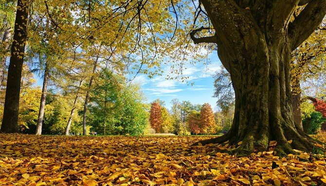 Blog images - 2025 VOL 3 - GettyImages