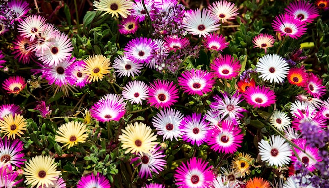 Blog images - 2025 VOL 3 - GettyImages