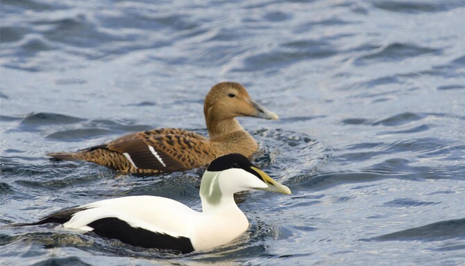 Blog images - 2025 VOL 3 - GettyImages