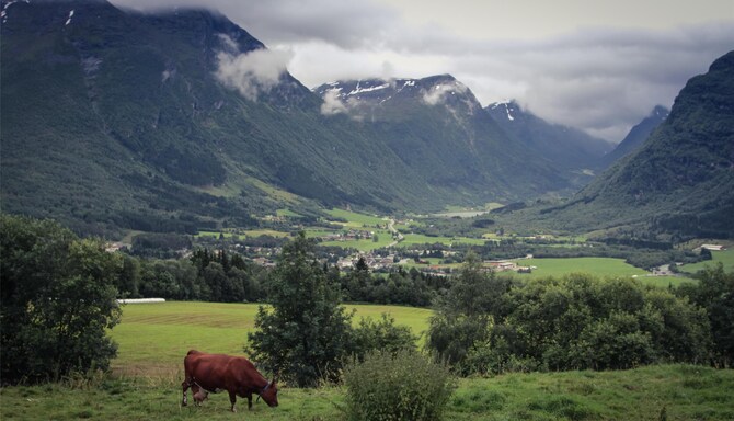 Blog images - 2025 VOL 3 - GettyImages