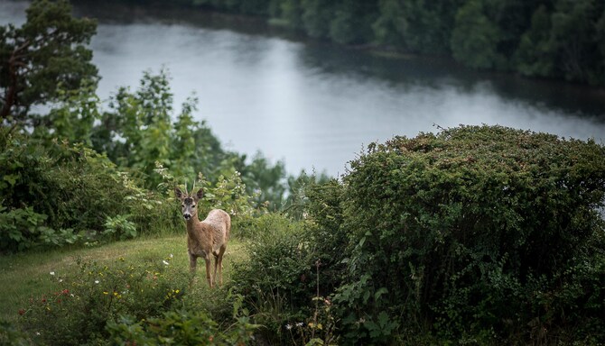 Blog images - 2025 VOL 3 - GettyImages