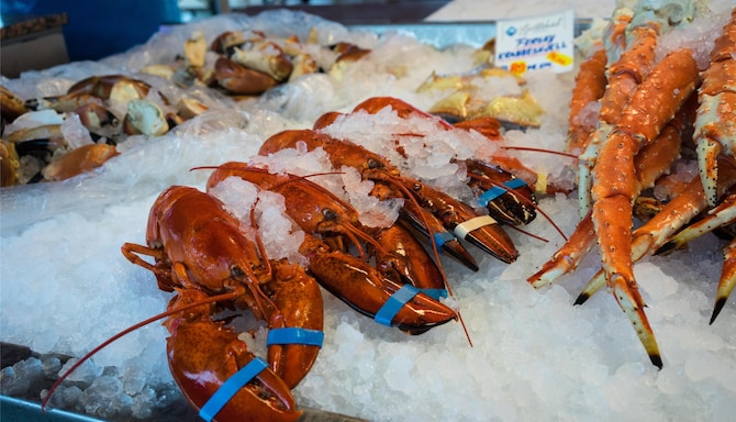 Blog images - 2025 VOL 3 - GettyImages