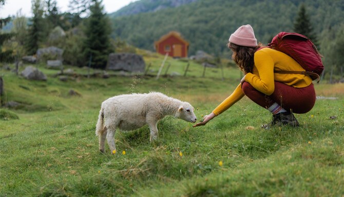 Blog images - 2025 VOL 3 - GettyImages