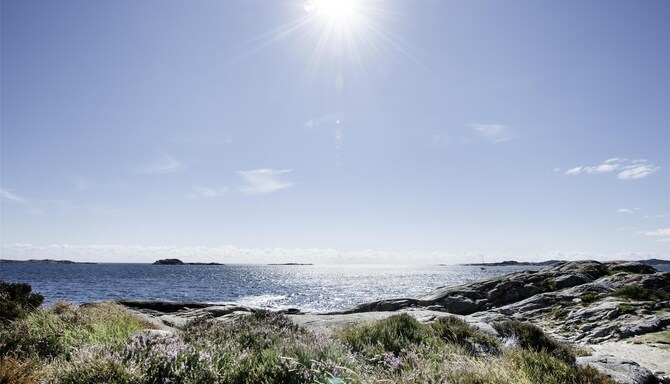 Blog images - 2025 VOL 3 - GettyImages