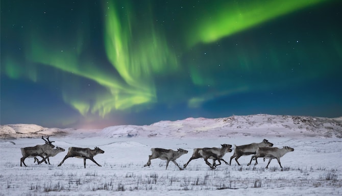 Blog images - 2025 VOL 3 - GettyImages