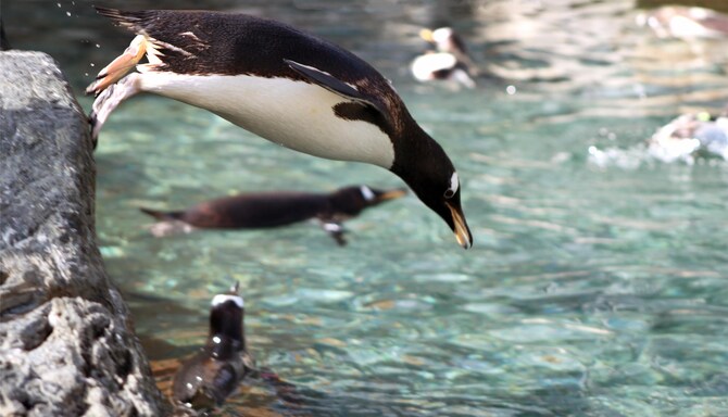 Blog images - 2025 VOL 3 - GettyImages