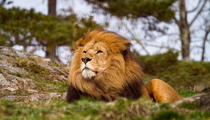 Blog images - 2025 VOL 3 - GettyImages