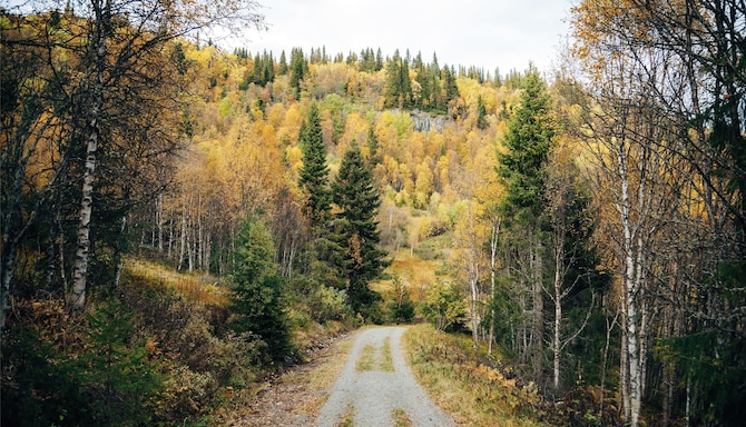 Blog images - 2025 VOL 3 - GettyImages