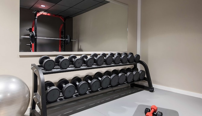 Fitness, Wellness & Spa - Gym - free weights